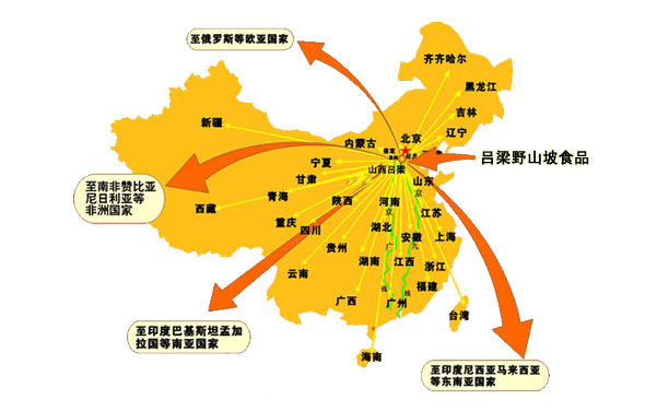 銷售網路示意圖