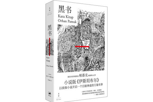 黑書(2024年上海人民出版社出版的圖書)