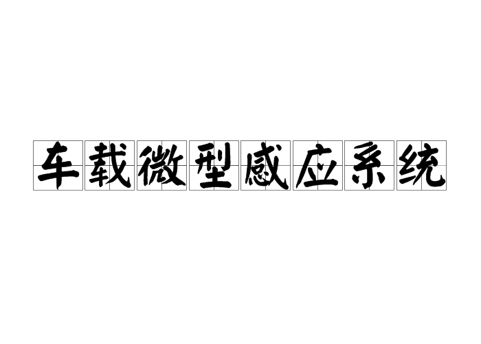 車載微型感應系統