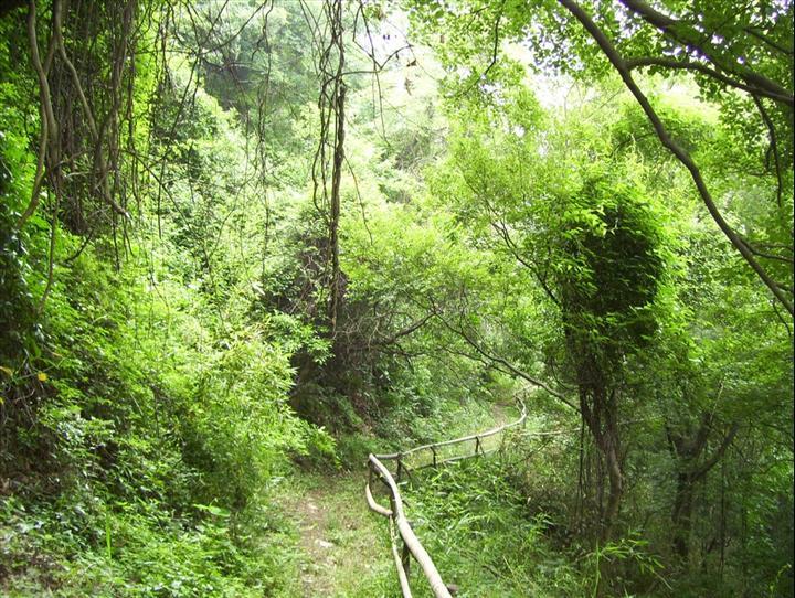 陳虎嶺古道