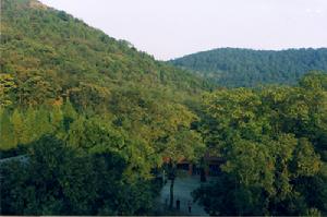 天井山國家森林公園風景