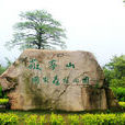 安徽敬亭山國家森林公園