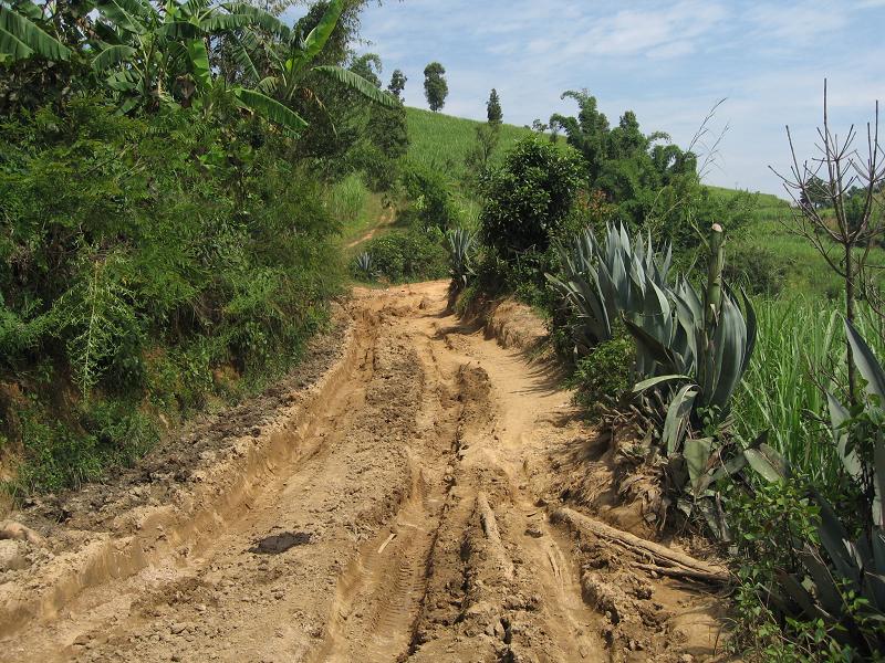 平莊自然村進村道路