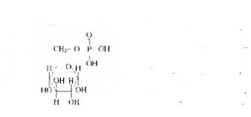 磷酸葡糖酸內醋