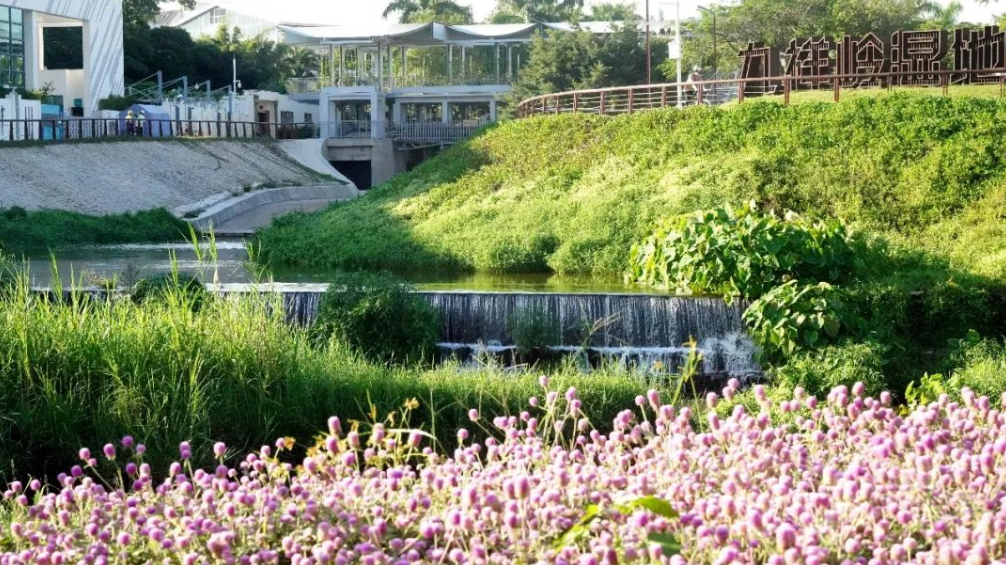 深圳市南山區大沙河生態長廊九祥嶺濕地公園