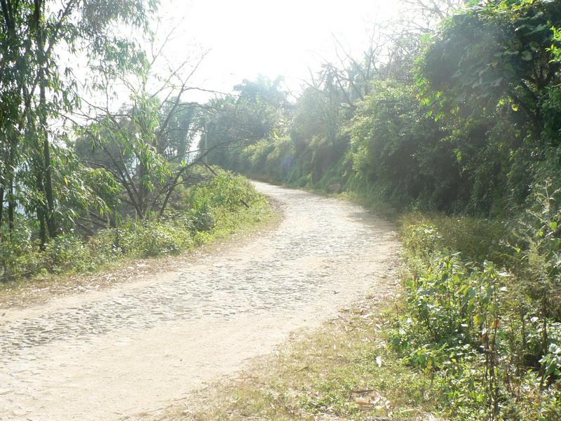 進村道路