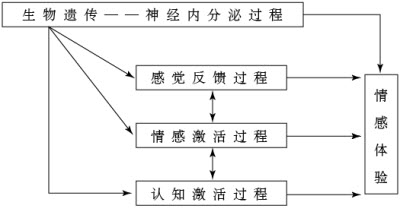 情緒激活和調節的多系統模型