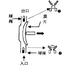 機械隔膜計量泵