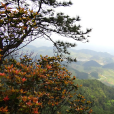 五華山(雲南省昆明市五華山)