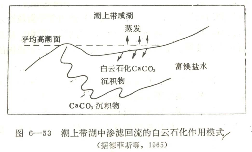 鹽水滲透回流作用