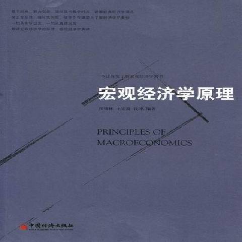 總量經濟學原理(2012年中國經濟出版社出版的圖書)