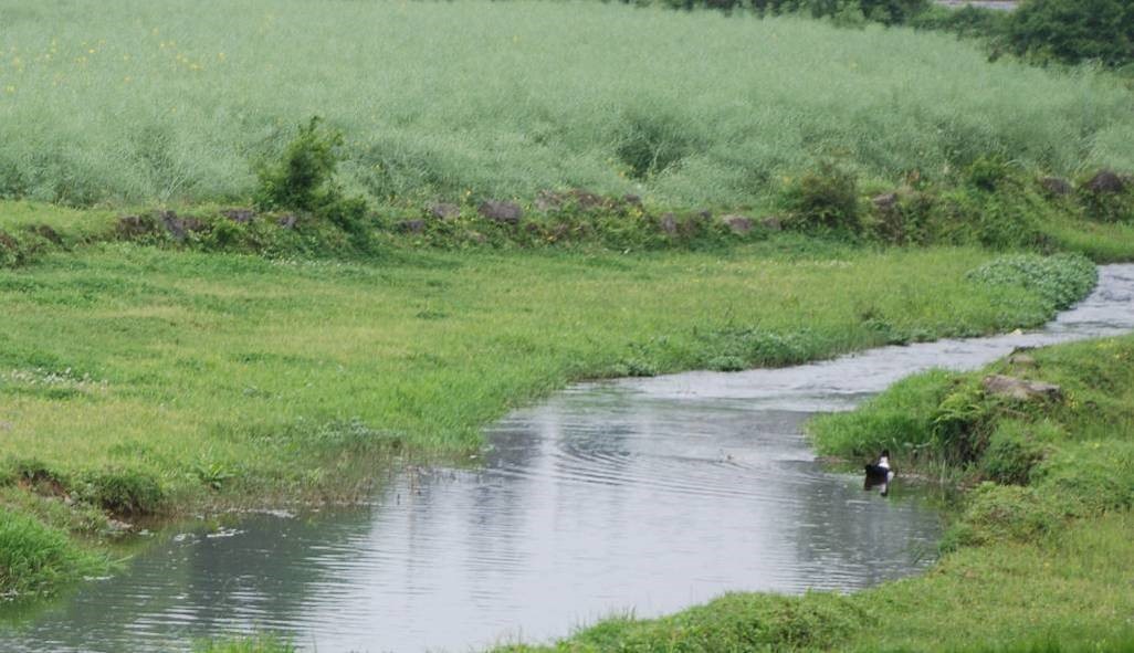 貴州湄潭湄江湖國家濕地公園