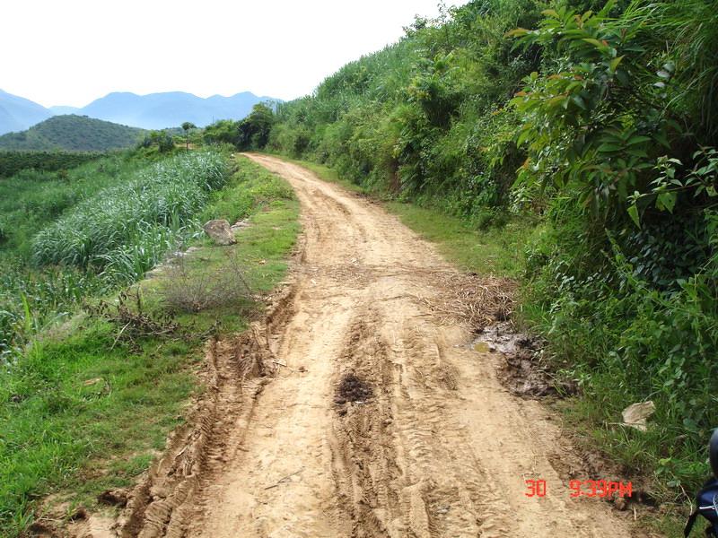 鋪莊核桃園自然村通村道路