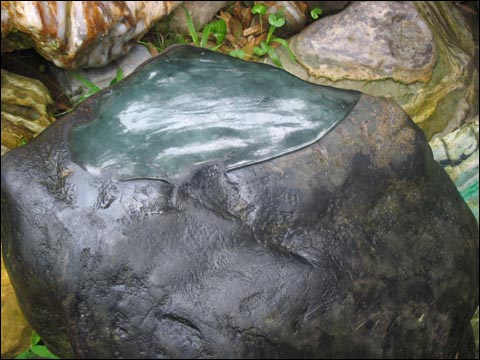 勐巴娜西珍奇園(勐巴娜西大花園)