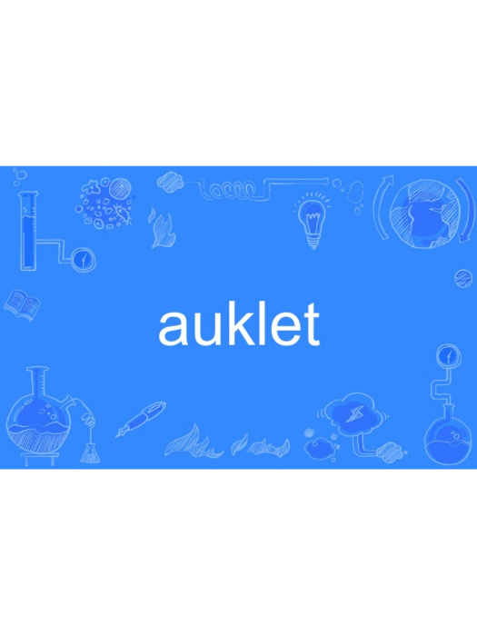 auklet