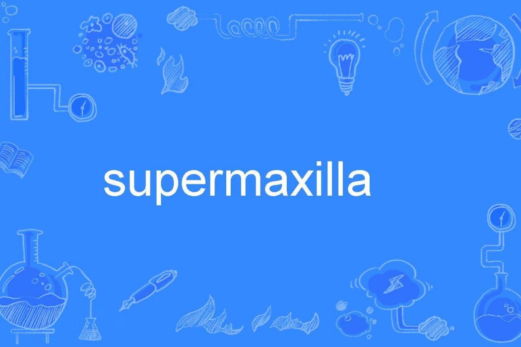 supermaxilla