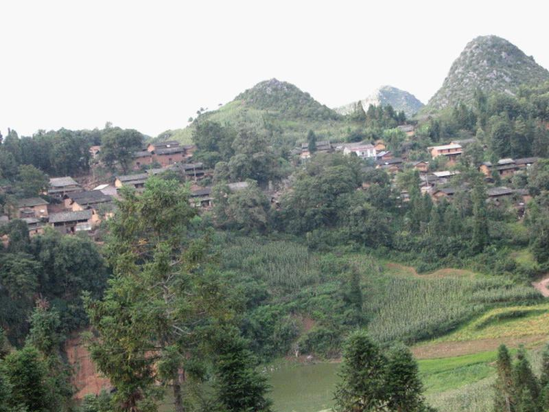 岩子頭村(雲南雲縣栗樹鄉下轄村)