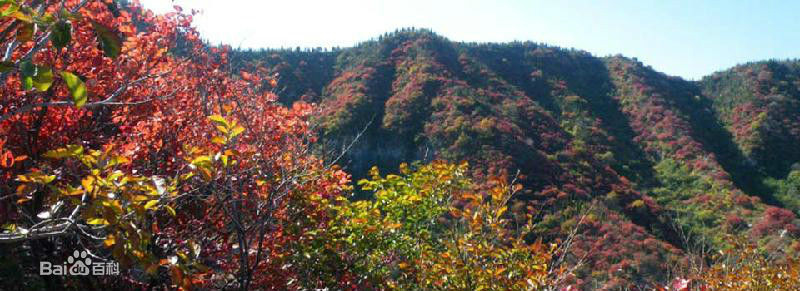 仰天山