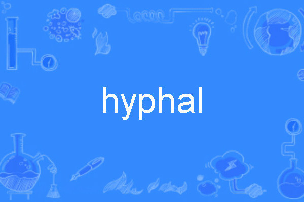 hyphal