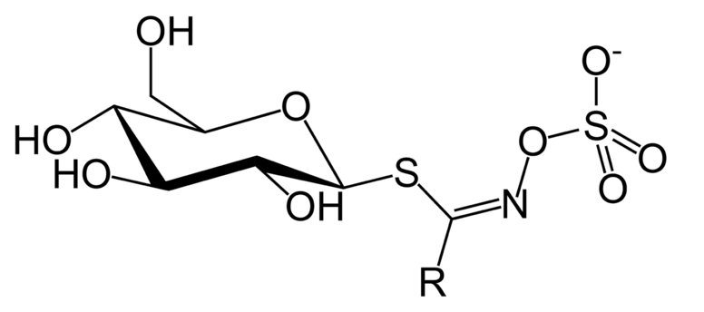 Glucosinolate