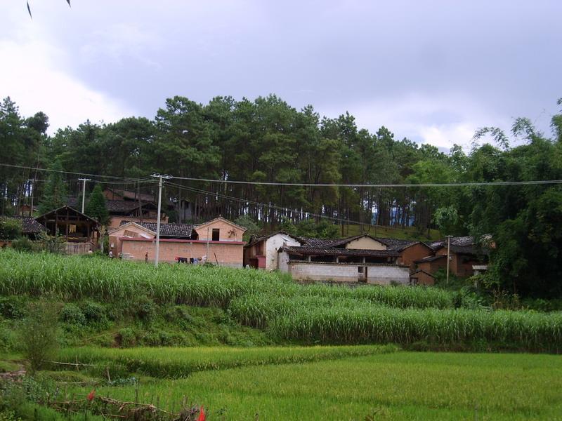 上東自然村