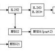 監控視頻壓縮編解碼