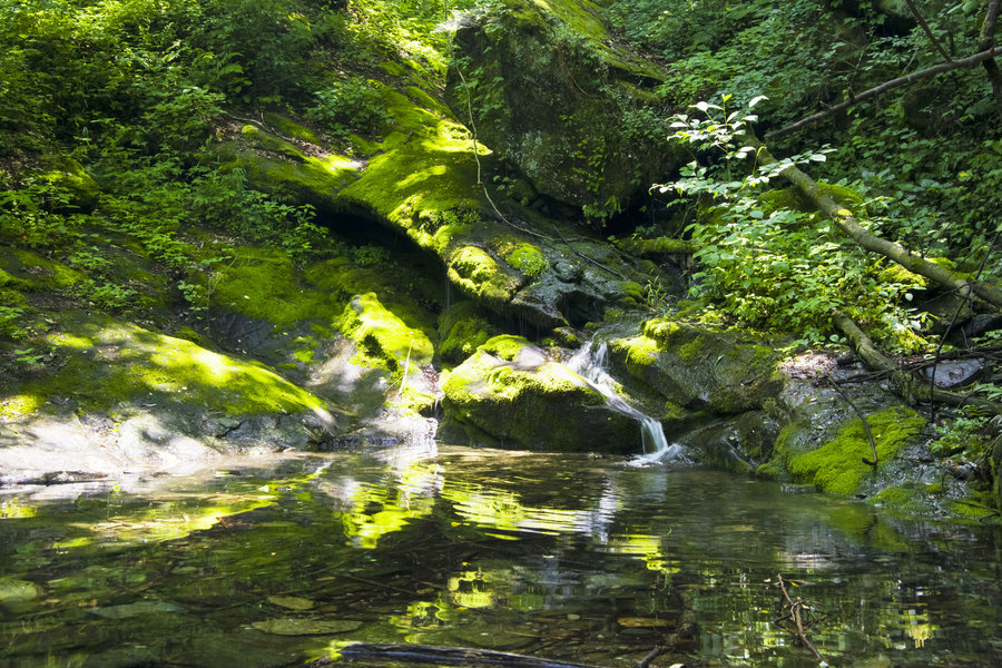 十堰市伏龍山自然風景區