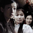 女人花(2008年姚曉峰執導的電視劇)