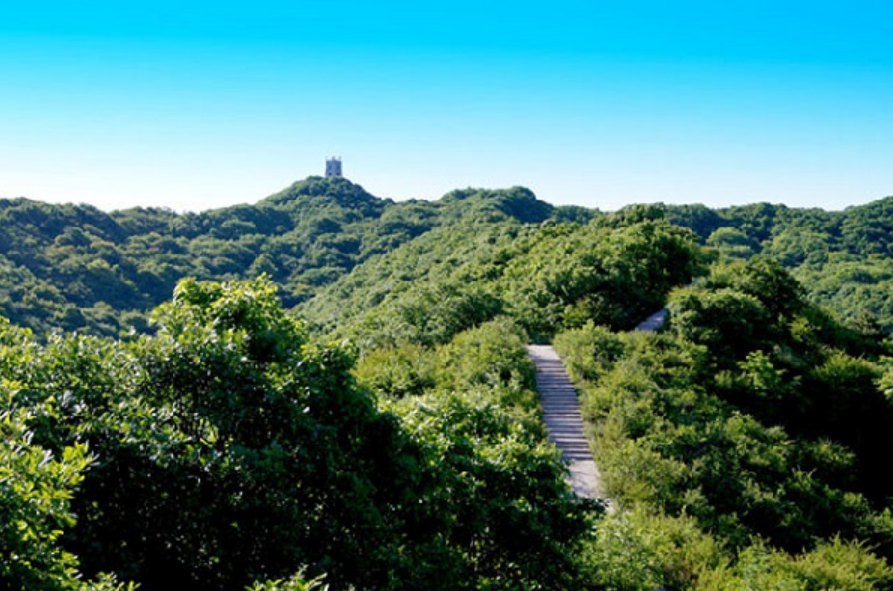 陝西石門山國家森林公園