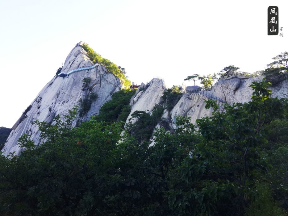 鳳凰山(樂至縣鳳凰山)