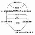 蛋白C系統缺乏症