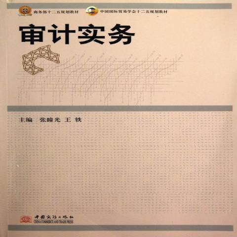 審計實務(2012年中國商務出版社出版的圖書)