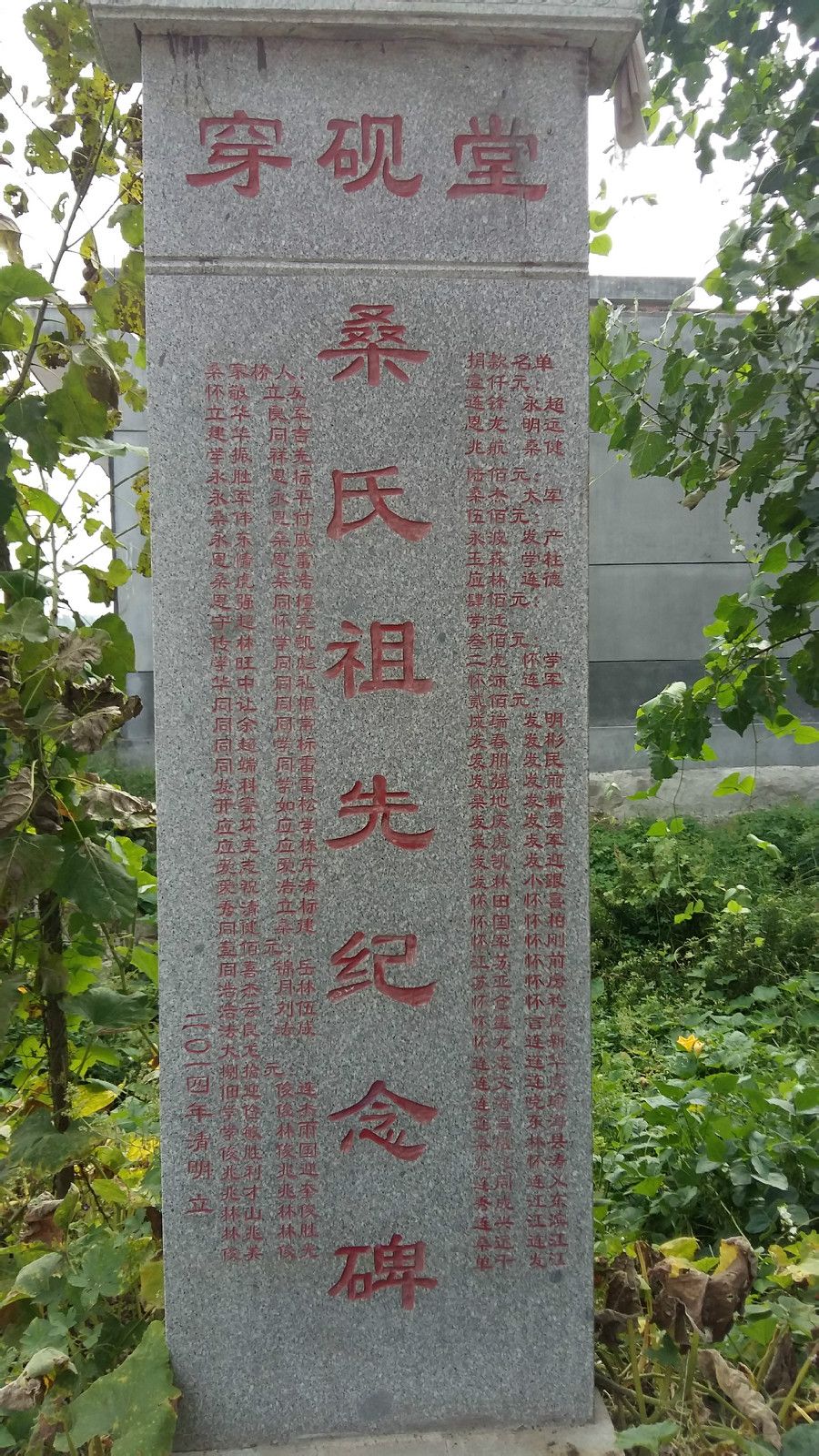 桑姓