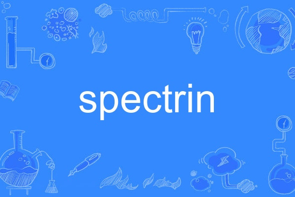 spectrin