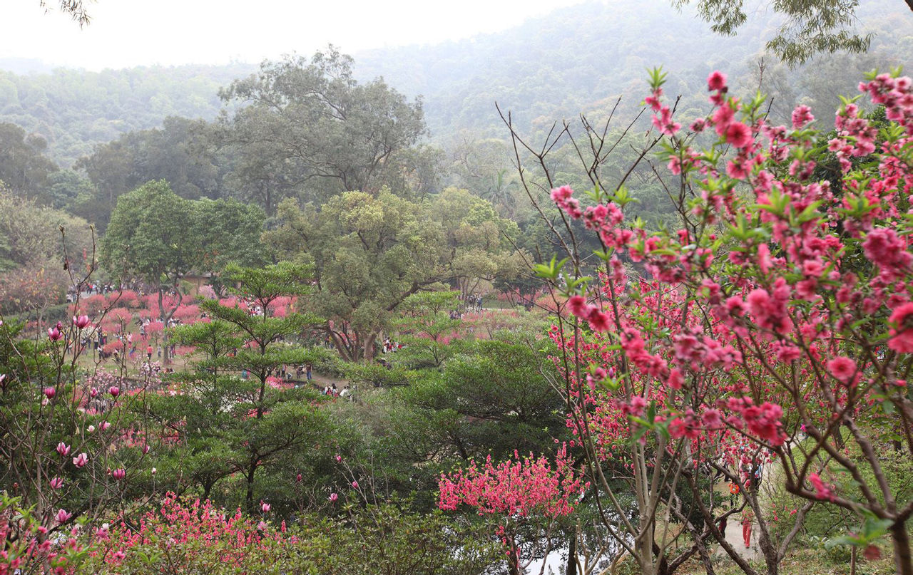 桃花澗(山東省平度市桃花澗)