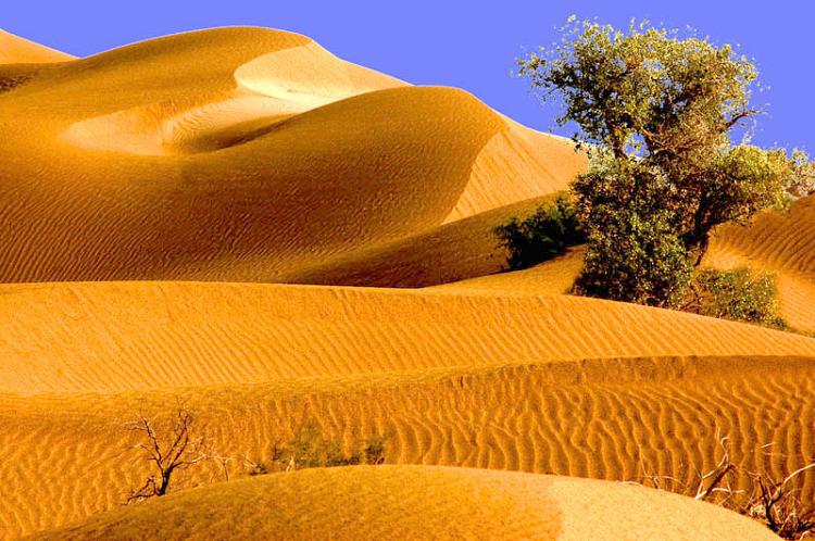 塔克拉瑪乾沙漠