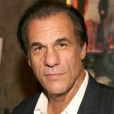 羅伯特·戴維(Robert Davi)