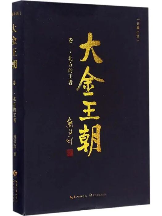 大金王朝(2016年長江文藝出版社出版的圖書)