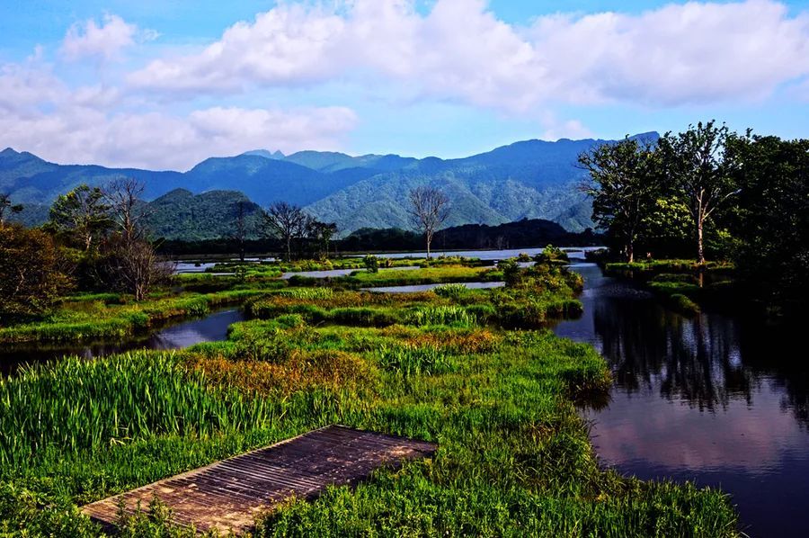 大九湖村