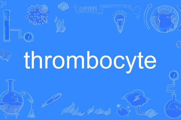 thrombocyte