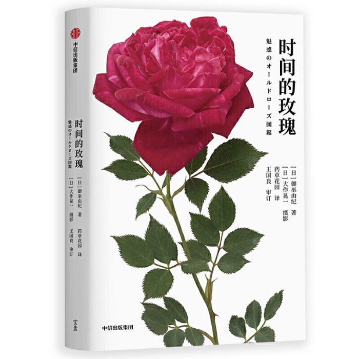 時間的玫瑰(2020年中信出版社出版的圖書)