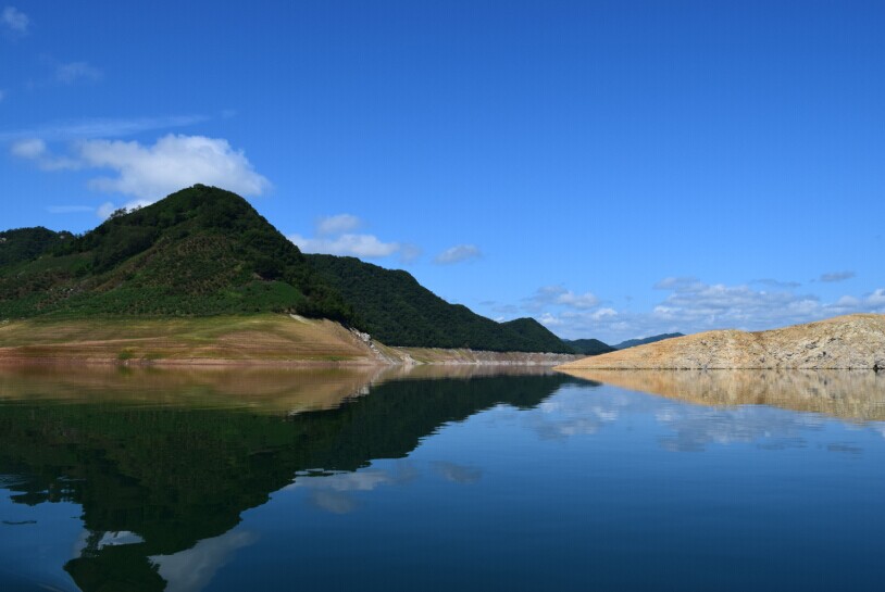 小韭菜溝