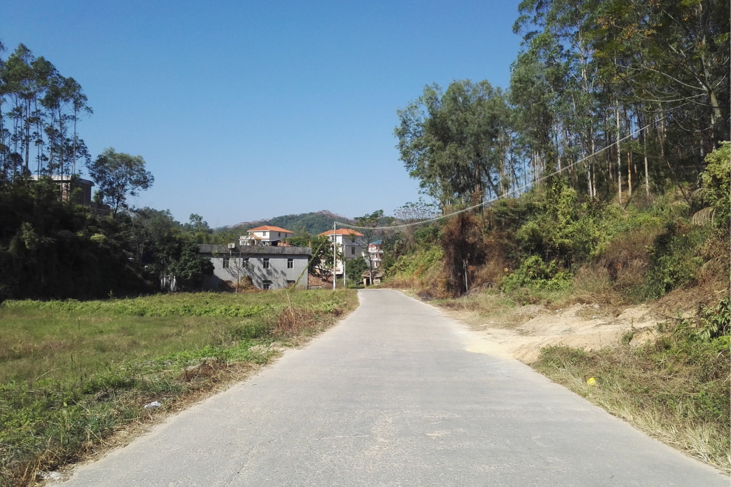 石龍村(廣西壯族自治區玉林市博白縣大垌鎮下轄村)