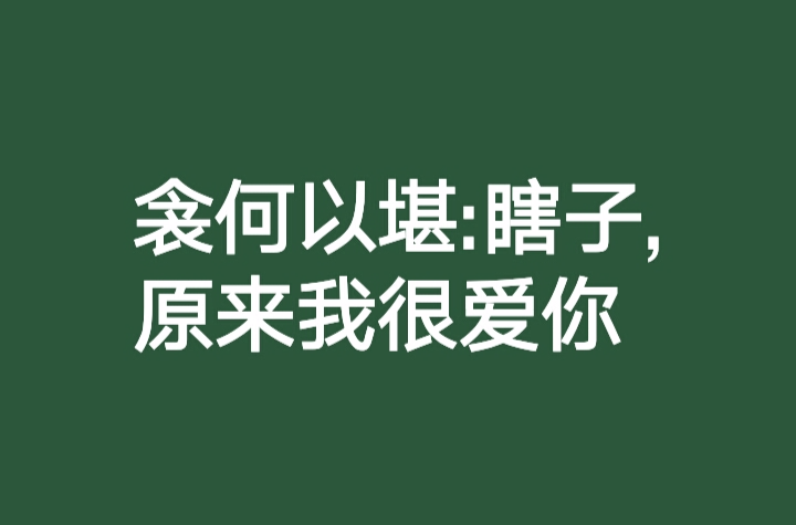 衾何以堪：瞎子，原來我很愛你