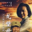 戈壁母親(2007電視劇)