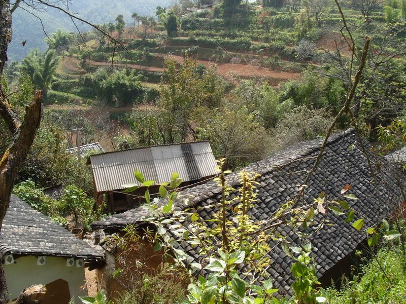 樹山村