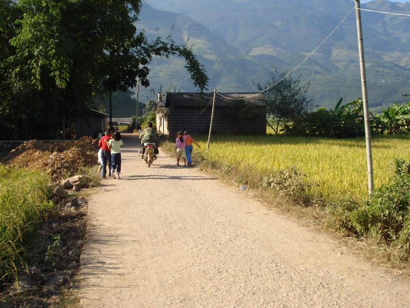 村內道路