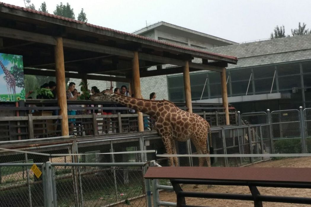 石家莊市動物園科普基地