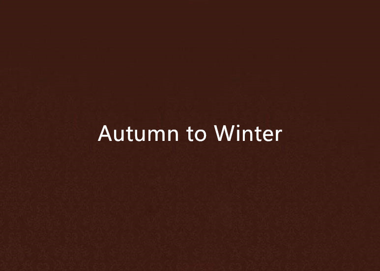 Autumn to Winter