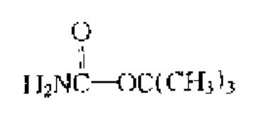 氮基甲酸叔丁醋